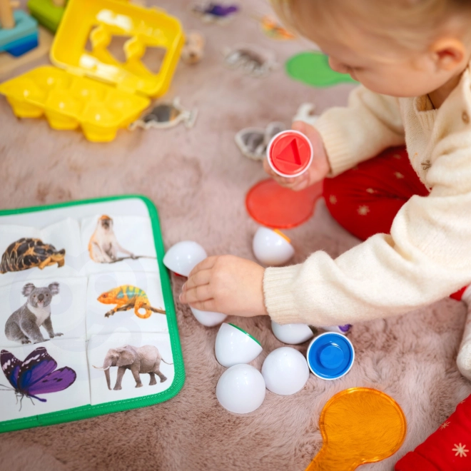 Edukační box TOOKY TOY Montessori XXL 7v1