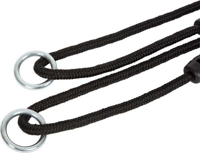 Small foot Trapézová houpačka s gymnastickými kruhy Black Line