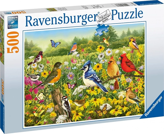Puzzle Ptačí louka 500 dílků