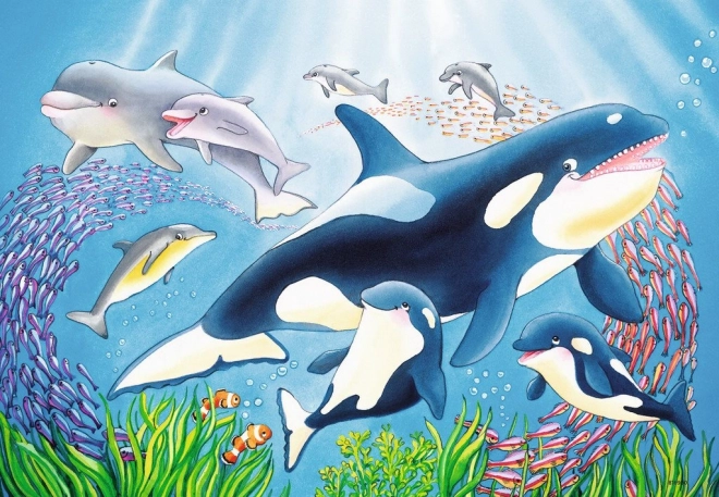 Puzzle podmořská krása 2x24 dílků