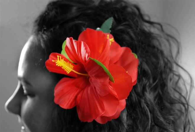 Květinová sponka do vlasů Hibiscus