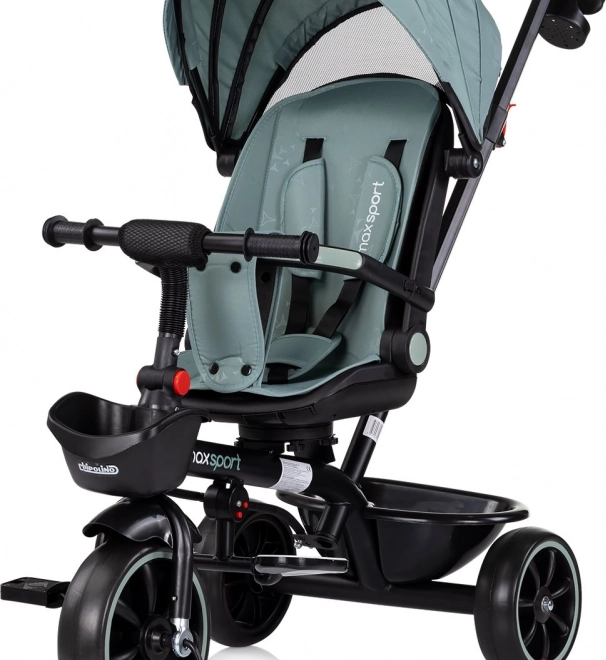 Tříkolka se stříškou 2v1 Chipolino Max Sport Basil