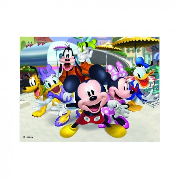 MICKEY A MINNIE 12 Dřevěné licenční kostky