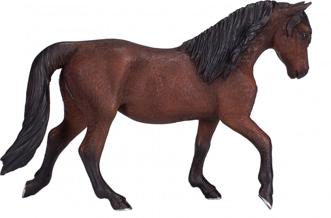 Kůň Morgan Palomino