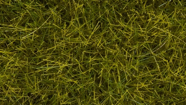 Noch statická tráva divoká louka 12 mm
