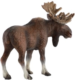 Skvělé pro edukaci i sbírky