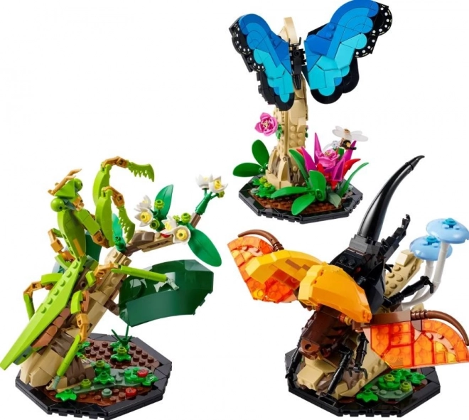 LEGO® Ideas 21342 Hmyzí kolekce