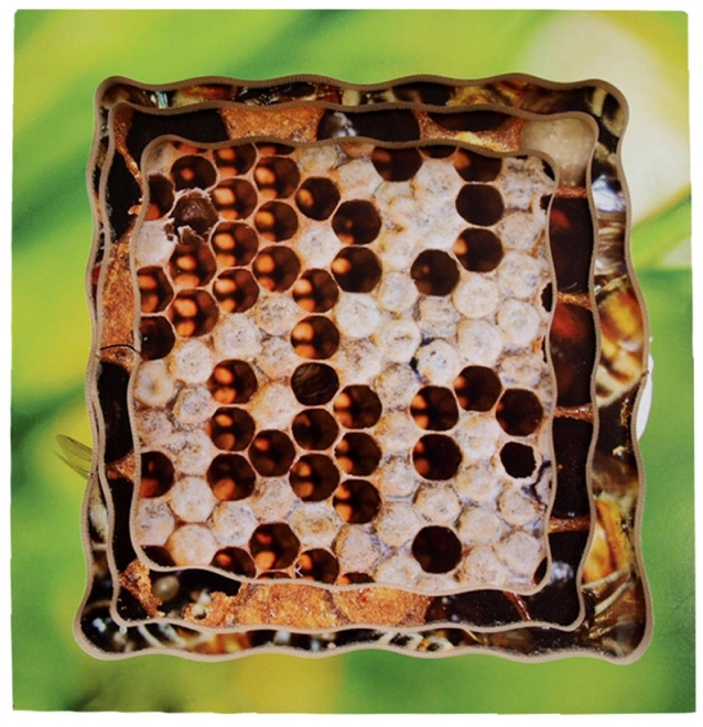Just Jigsaws 600 Včela – dřevěné vrstvené puzzle