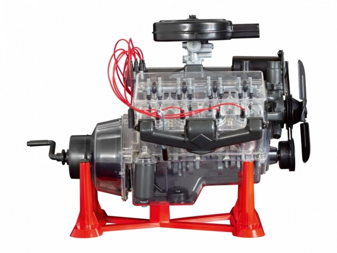 Model motoru V8 viditelný 1:4