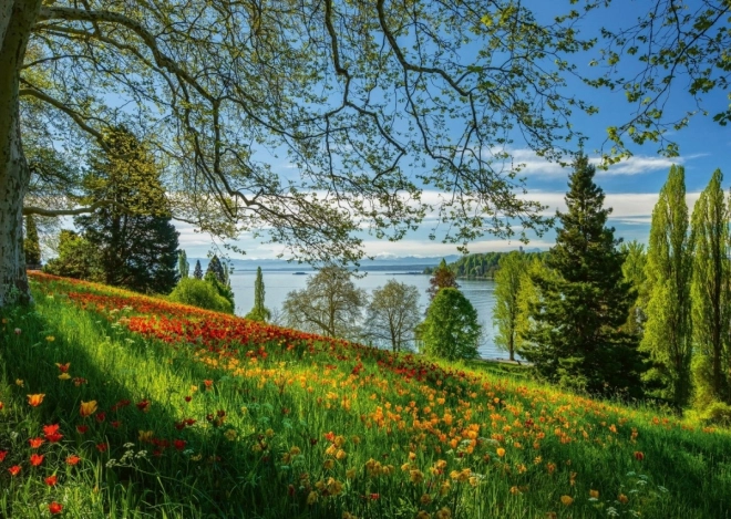 Puzzle 1000 prvků Ostrov kvetoucích tulipánů