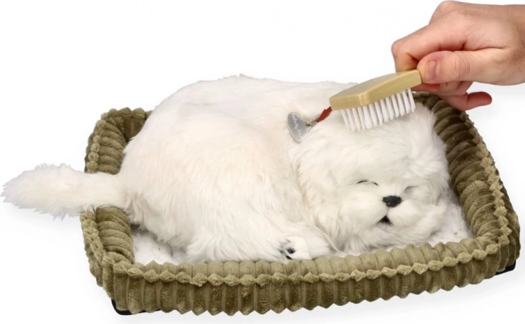 Péče a mazlení jako se skutečným pejskem