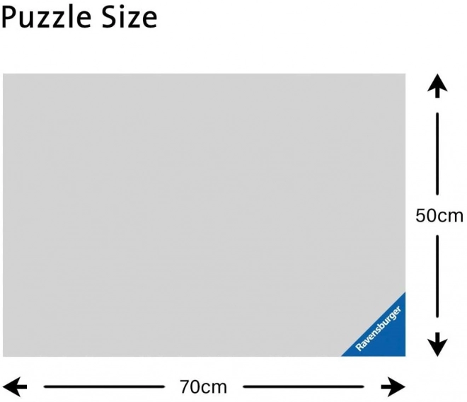 Puzzle 1000 ks Most při východu slunce