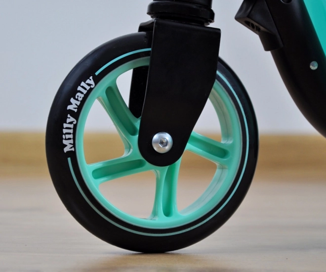 Koloběžka Smart mint scooter