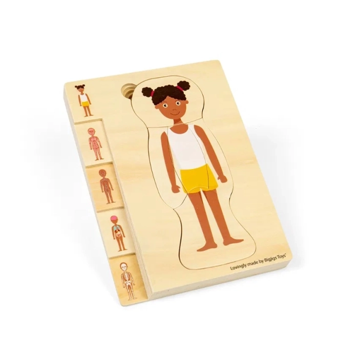 Dřevěné puzzle Anatomie dívka