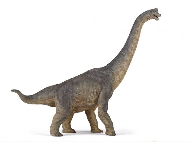 Sběratelská figurka Dinosaur Brachiosaurus od Papo