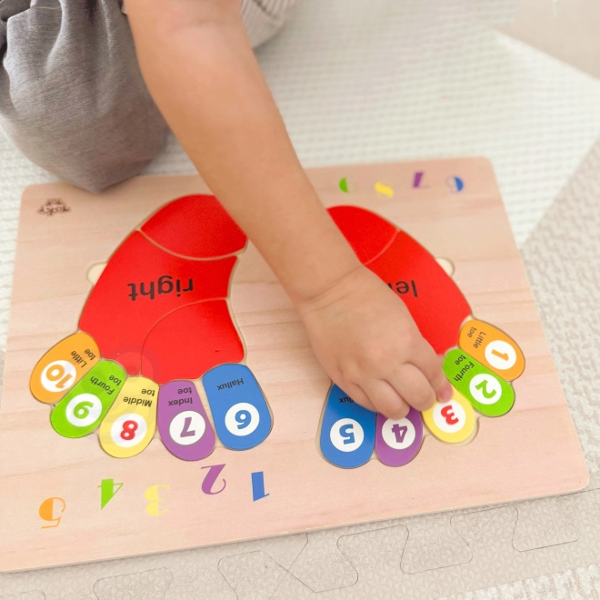 Tooky Toy dřevěná vzdělávací skládačka nožičky pro učení počítání a barev