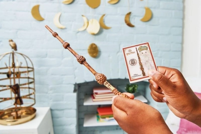 HARRY POTTER KOUZELNICKÉ HŮLKY ASST