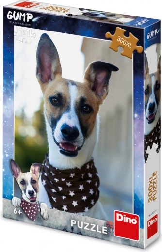 Přátelský pes Gump