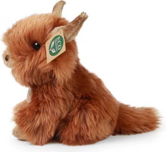 Autentický vzhled skotského náhorního skotu