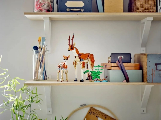 LEGO Creator 31150 Divoká zvířata ze safari