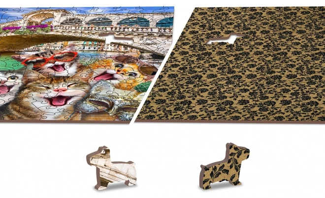 Dřevěné puzzle Koťata v Benátkách 2v1