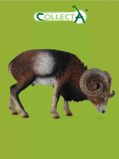 Muflon evropský