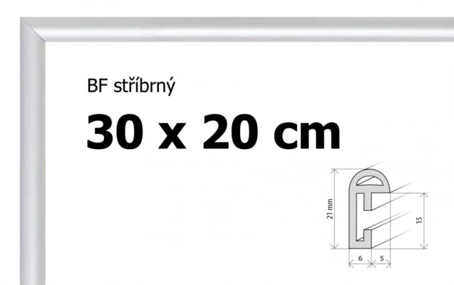 Plastový rámeček 30x20cm stříbrný