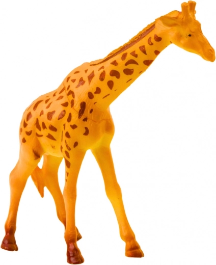 Učení hrou – poznávej zvířata