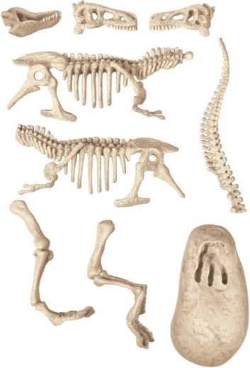 Vykop a objev T‑Rexe