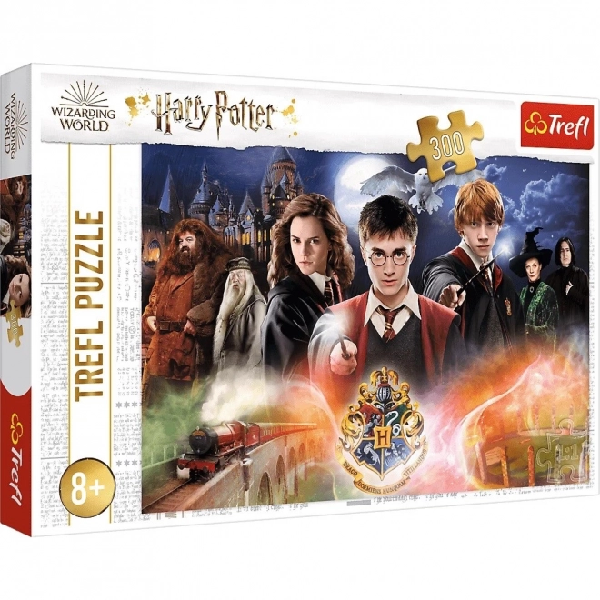 Tajemný Harry Potter puzzle 300 dílků