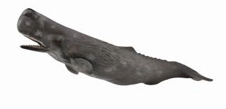 Velryba z kolekce Collecta
