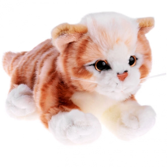 Rudý ležící koťátko 30 cm plyšák
