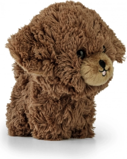 Roztomilé detaily pro živý výraz