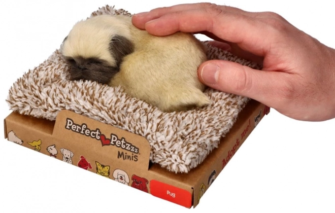 Roztomilý štěňátko mops Perfect Petzzz