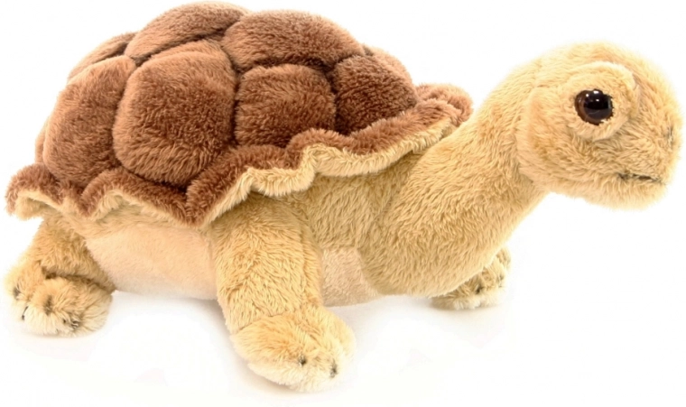 Realistický vzhled s detailním krunýřem