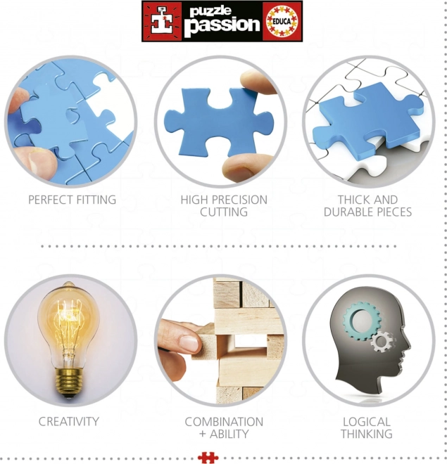 EDUCA Puzzle Vílí dům 500 dílků