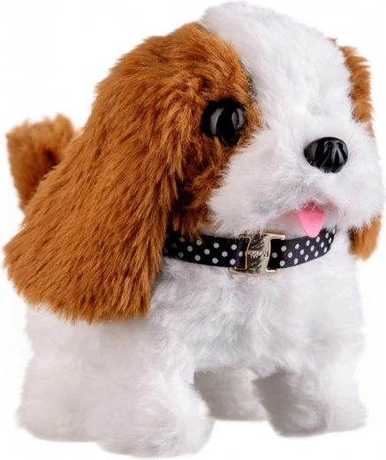 Chůze vpřed i vzad