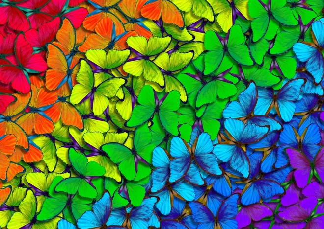 Puzzle Duhoví Motýlci 1000 Dílů