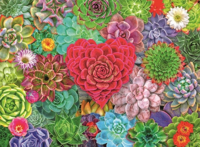 Ravensburger Puzzle Sukulentní ráj 500 dílků