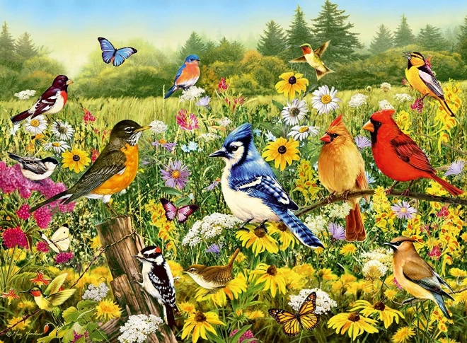 Puzzle Ptačí louka 500 dílků