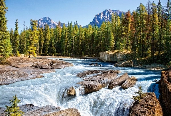 Puzzle 1500 ks Athabasca River Jasper National Park