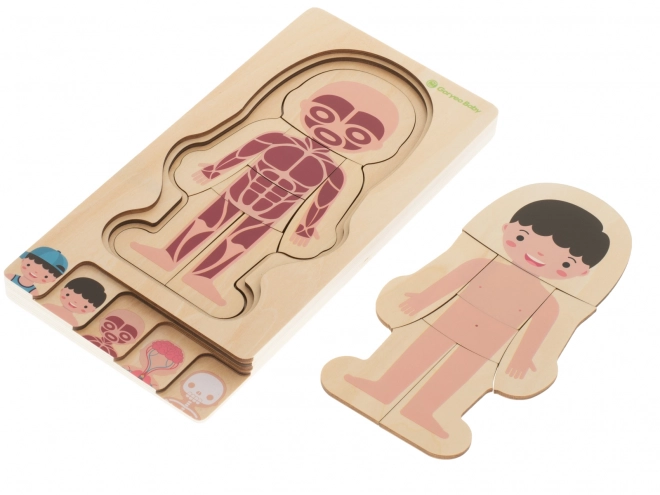 Dřevěná vrstvená puzzle lidské tělo Montessori
