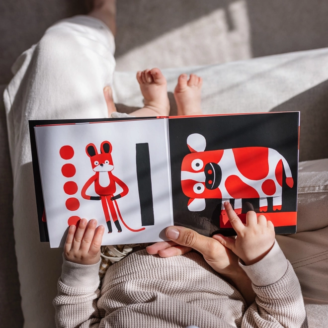 Ababu Kontrastní leporelo pro miminka s ilustracemi Patrika Antczaka