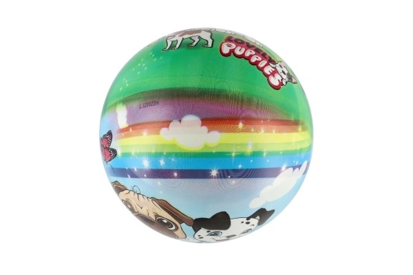 Míč pejsci 23 cm