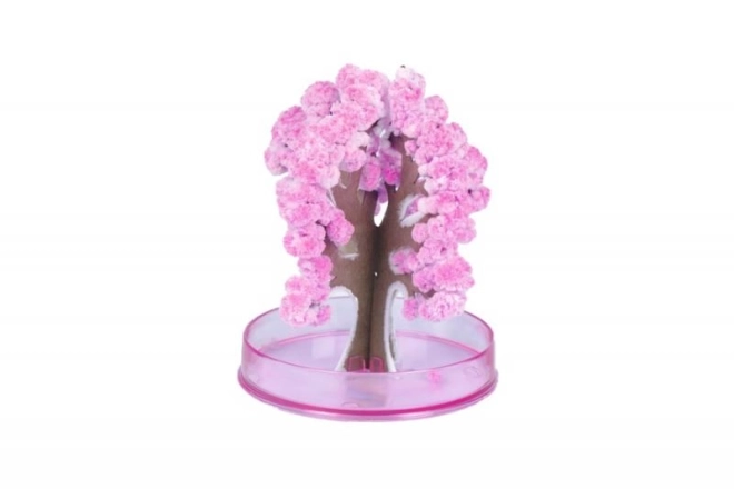 Kouzelná sakura ARTO