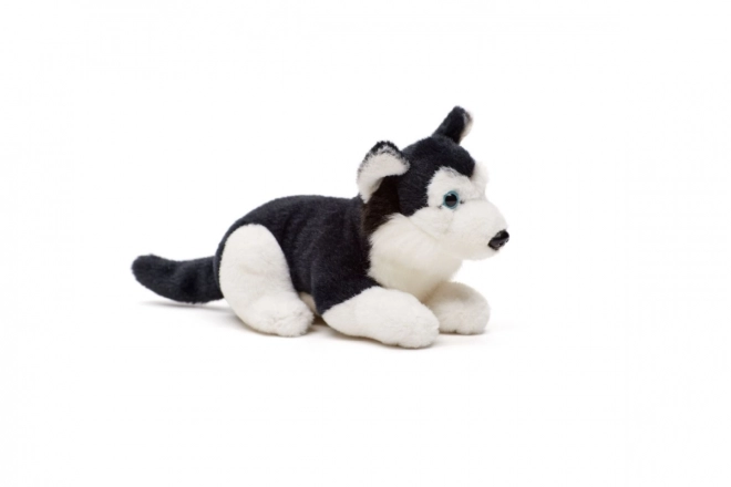 Plyšový husky 15 cm