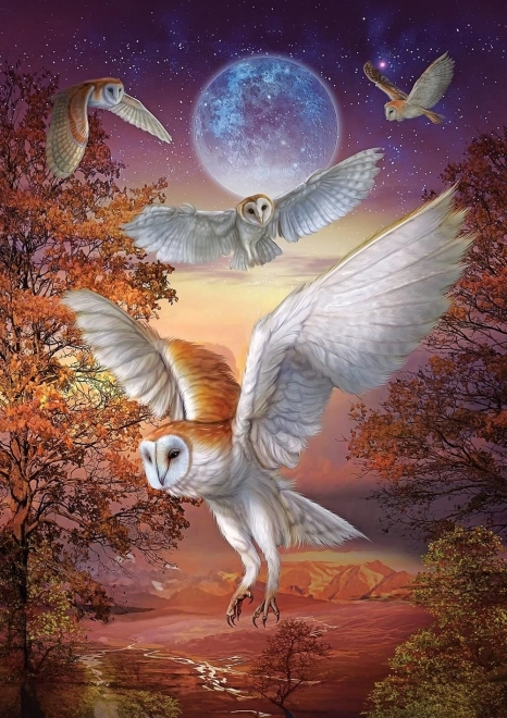 ART PUZZLE Puzzle Noční sovy 1000 dílků