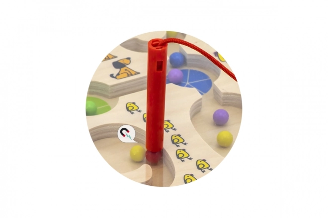 Magnetické ovládání