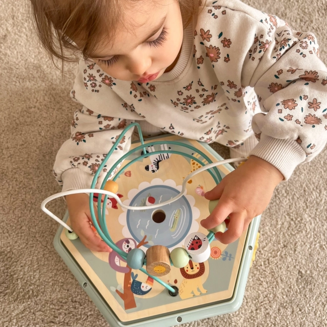 Interaktivní dřevěný šestiúhelník Montessori TOOKY TOY