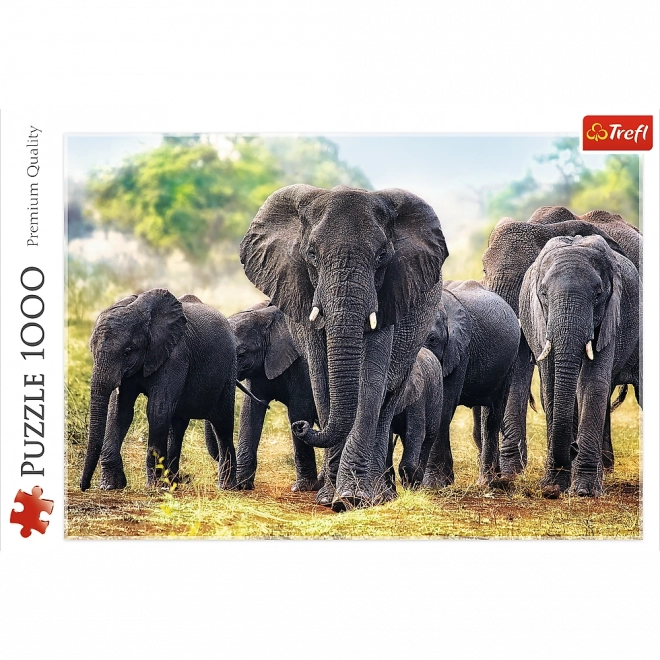 Puzzle Afričtí sloni 1000 dílků